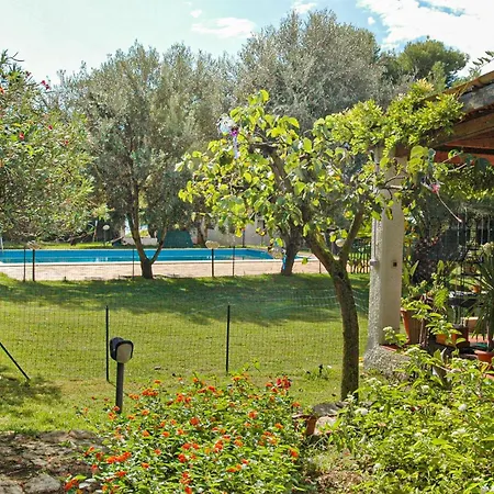 Σπίτι διακοπών Cozy In Punta Milocca With Kitchen